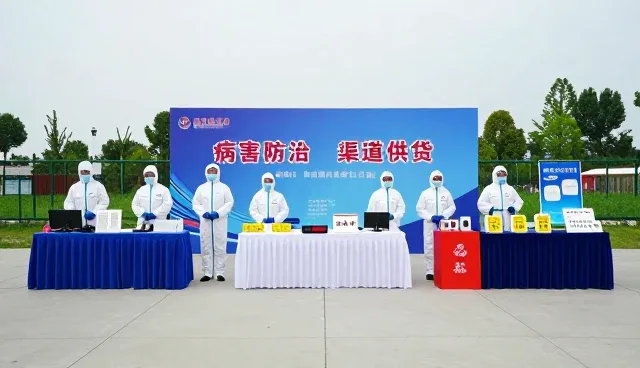 农业咨询行业如何应对种植技术指导中的生长问题