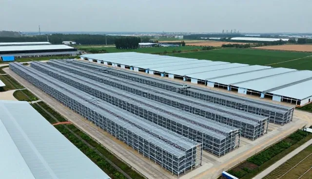 加工技术在农业咨询中的实际性能表现与适用条件分析
